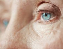 Leer noticia sobre:   20 April 2020  
 El Glaucoma, enfermedad silente que te roba la visión. Periódico El Día 