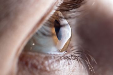 Leer noticia sobre:   16 de Julio 2026  
 Tratamiento del queratocono: opciones para mejorar la visión y preservar la salud de la córnea 