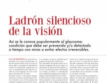 Leer noticia sobre:   28 May 2018  
 Revista CHT. Ladrón Silencioso de la Visión.  