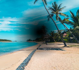 What is Stargardt disease?